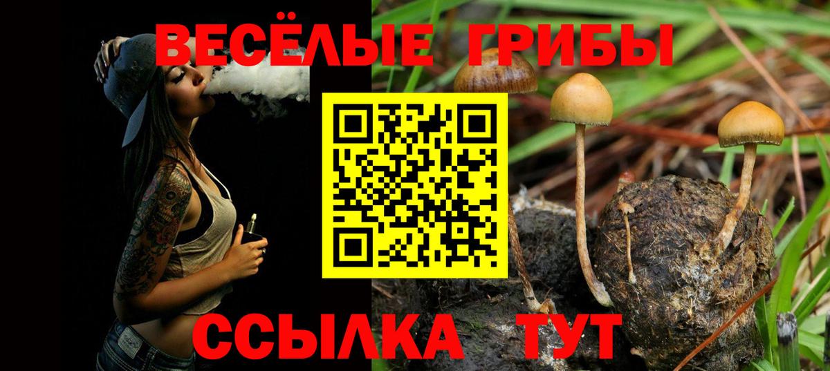 Псилоцибиновые грибы Magic Shrooms  Вход с VPN  Галлюциногенные грибы мухоморы  Ревда 